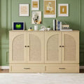 Luxystar Modern Queen Rattan Murphy Bed with Large Drawer for Living Room and Guest Room